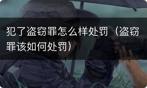 犯了盗窃罪怎么样处罚（盗窃罪该如何处罚）