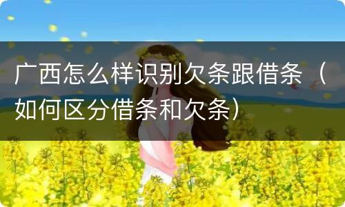 广西怎么样识别欠条跟借条（如何区分借条和欠条）
