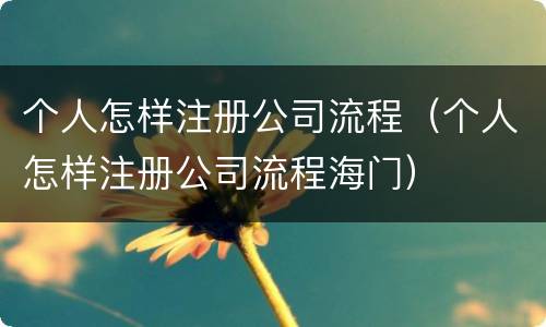 个人怎样注册公司流程（个人怎样注册公司流程海门）
