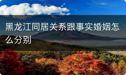 黑龙江同居关系跟事实婚姻怎么分别