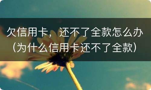 欠信用卡，还不了全款怎么办（为什么信用卡还不了全款）