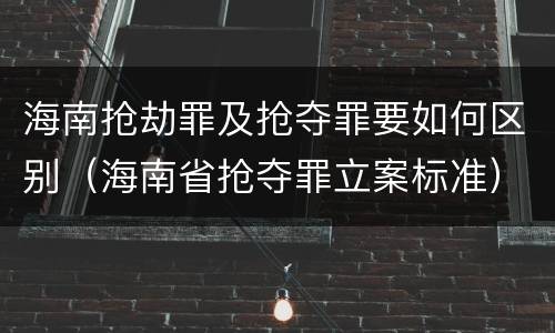 海南抢劫罪及抢夺罪要如何区别（海南省抢夺罪立案标准）