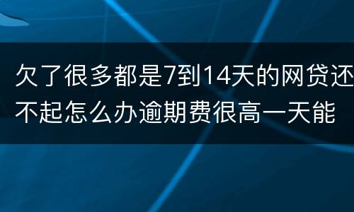 欠了很多都是7到14天的网贷还不起怎么办逾期费很高一天能张几百