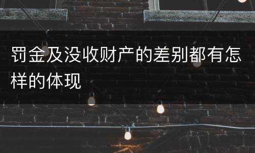 罚金及没收财产的差别都有怎样的体现
