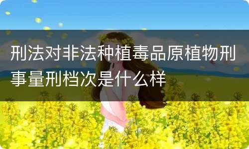 刑法对非法种植毒品原植物刑事量刑档次是什么样