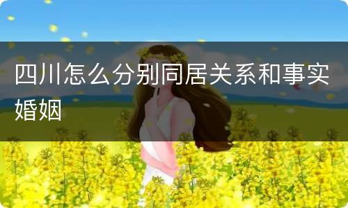 四川怎么分别同居关系和事实婚姻