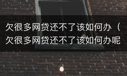 欠很多网贷还不了该如何办（欠很多网贷还不了该如何办呢）