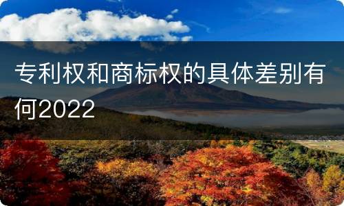 专利权和商标权的具体差别有何2022