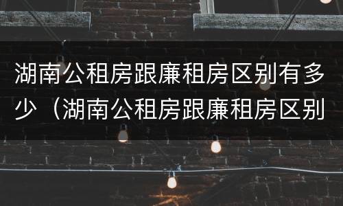 湖南公租房跟廉租房区别有多少（湖南公租房跟廉租房区别有多少套）