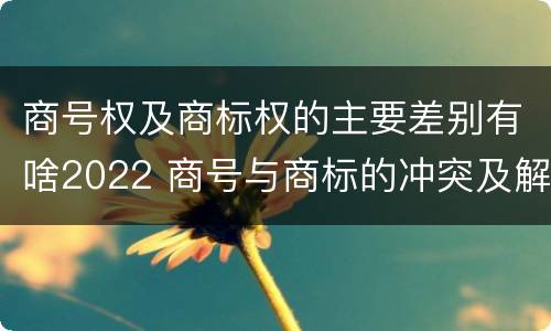 商号权及商标权的主要差别有啥2022 商号与商标的冲突及解决措施