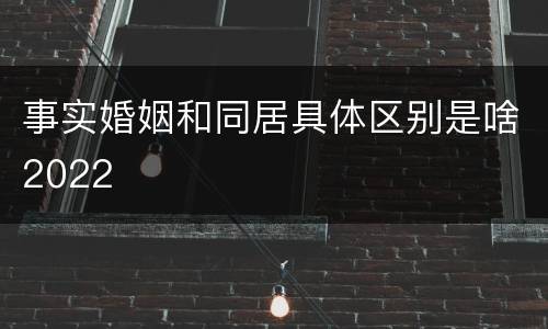 事实婚姻和同居具体区别是啥2022