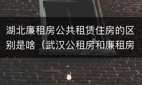 湖北廉租房公共租赁住房的区别是啥（武汉公租房和廉租房）