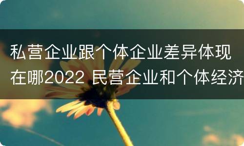 私营企业跟个体企业差异体现在哪2022 民营企业和个体经济的区别