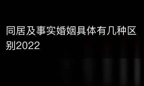 同居及事实婚姻具体有几种区别2022