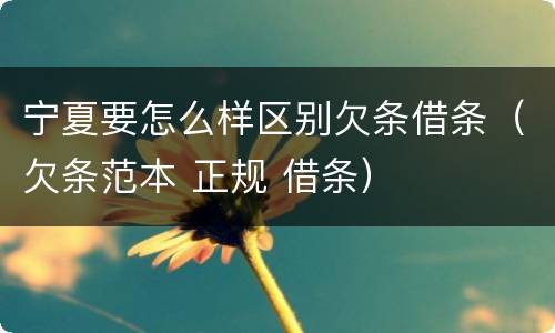 宁夏要怎么样区别欠条借条（欠条范本 正规 借条）