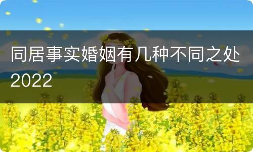 同居事实婚姻有几种不同之处2022