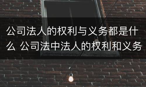 公司法人的权利与义务都是什么 公司法中法人的权利和义务