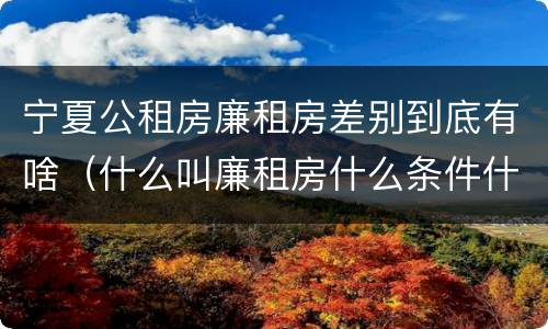 宁夏公租房廉租房差别到底有啥（什么叫廉租房什么条件什么叫公租房）