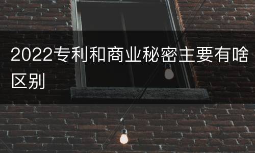 2022专利和商业秘密主要有啥区别