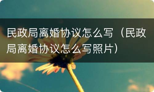 民政局离婚协议怎么写（民政局离婚协议怎么写照片）