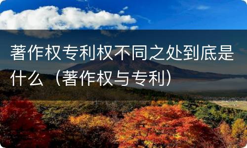 著作权专利权不同之处到底是什么（著作权与专利）