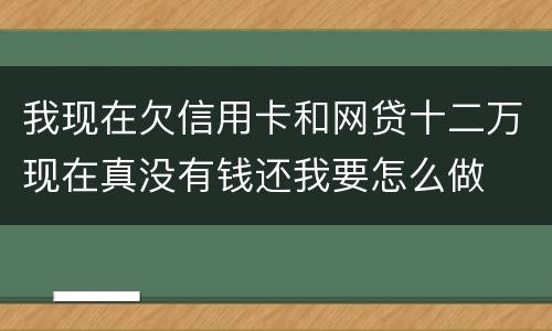 我现在欠信用卡和网贷十二万现在真没有钱还我要怎么做