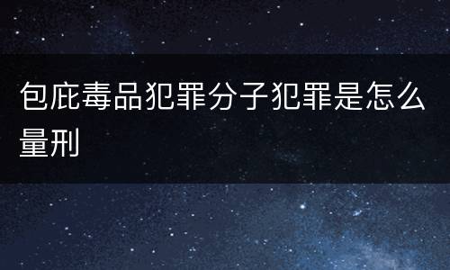 包庇毒品犯罪分子犯罪是怎么量刑