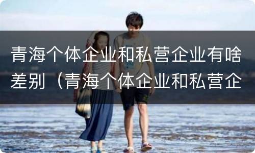青海个体企业和私营企业有啥差别（青海个体企业和私营企业有啥差别吗）