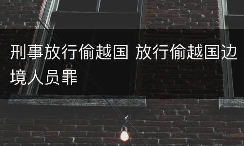 刑事放行偷越国 放行偷越国边境人员罪