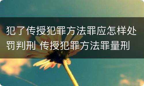 犯了传授犯罪方法罪应怎样处罚判刑 传授犯罪方法罪量刑