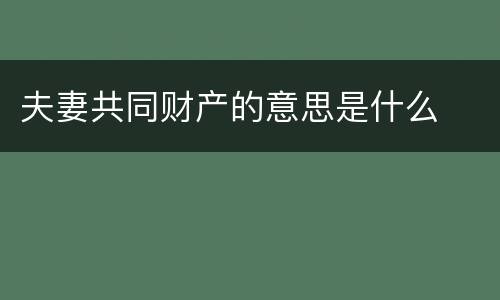 夫妻共同财产的意思是什么