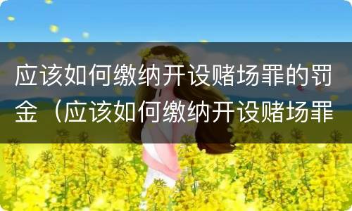 应该如何缴纳开设赌场罪的罚金（应该如何缴纳开设赌场罪的罚金呢）