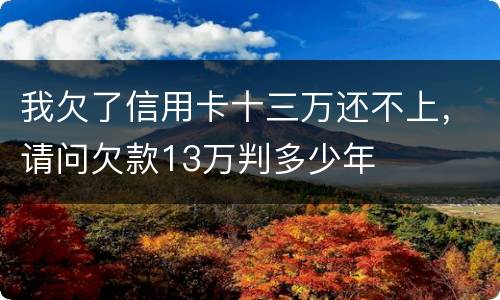 我欠了信用卡十三万还不上，请问欠款13万判多少年