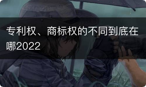 专利权、商标权的不同到底在哪2022