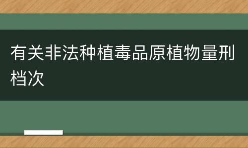 有关非法种植毒品原植物量刑档次