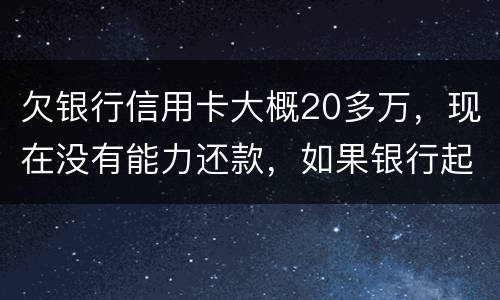 欠银行信用卡大概20多万，现在没有能力还款，如果银行起诉，法院会怎么判决，如果强