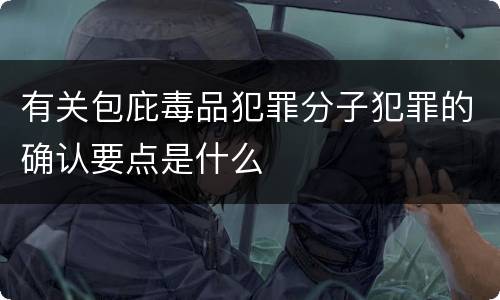 有关包庇毒品犯罪分子犯罪的确认要点是什么
