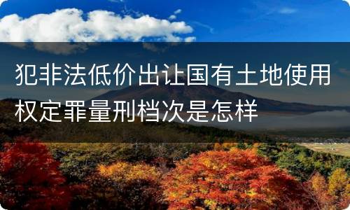 犯非法低价出让国有土地使用权定罪量刑档次是怎样