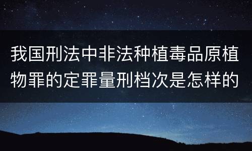 我国刑法中非法种植毒品原植物罪的定罪量刑档次是怎样的