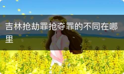 吉林抢劫罪抢夺罪的不同在哪里