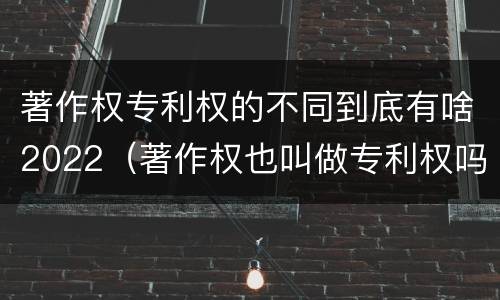 著作权专利权的不同到底有啥2022（著作权也叫做专利权吗）