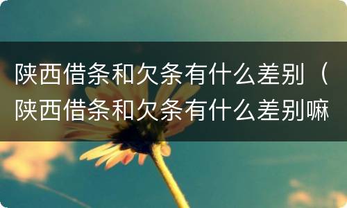 陕西借条和欠条有什么差别（陕西借条和欠条有什么差别嘛）