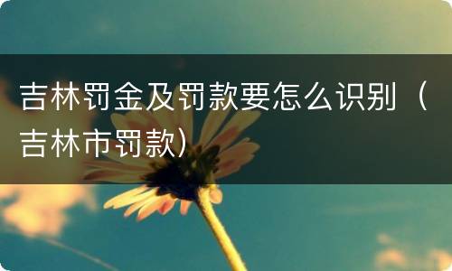 吉林罚金及罚款要怎么识别（吉林市罚款）