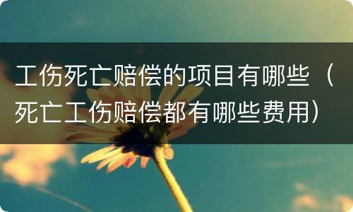 工伤死亡赔偿的项目有哪些（死亡工伤赔偿都有哪些费用）