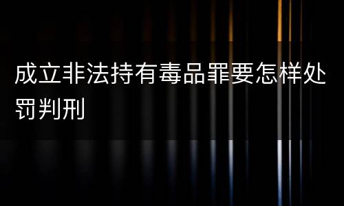 成立非法持有毒品罪要怎样处罚判刑