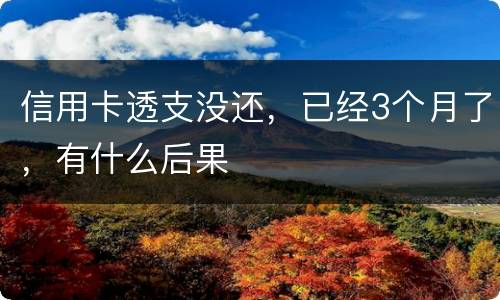信用卡透支没还，已经3个月了，有什么后果