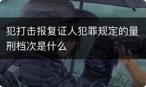 犯打击报复证人犯罪规定的量刑档次是什么