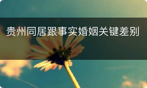 贵州同居跟事实婚姻关键差别