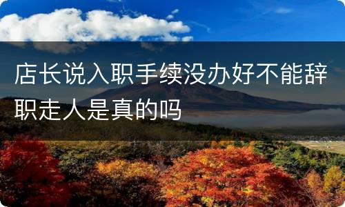 店长说入职手续没办好不能辞职走人是真的吗