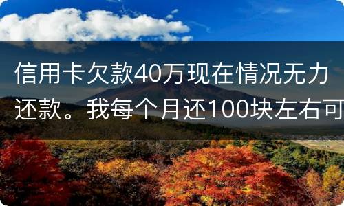 信用卡欠款40万现在情况无力还款。我每个月还100块左右可以吗